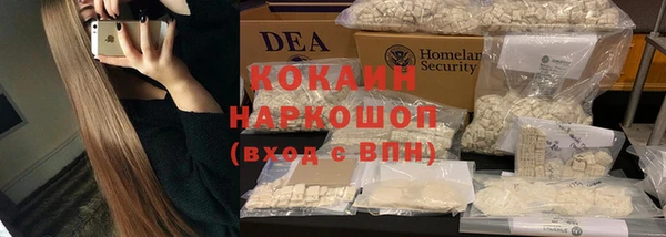 прущие крисы Гусев