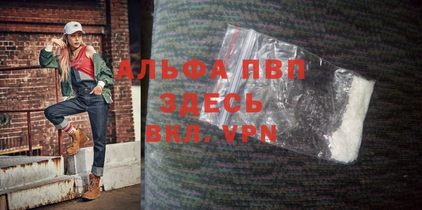 ECSTASY Гусь-Хрустальный