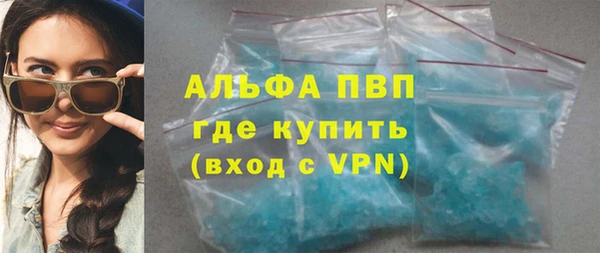 ECSTASY Гусь-Хрустальный