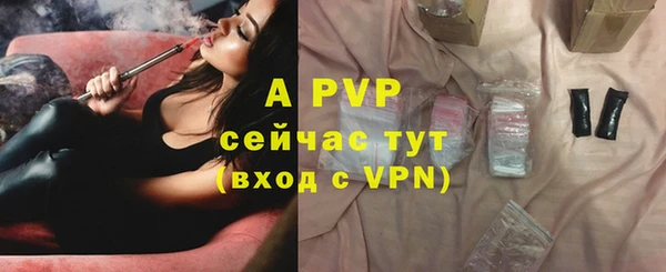 ECSTASY Гусь-Хрустальный