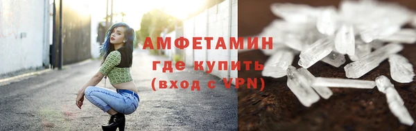 ECSTASY Гусь-Хрустальный