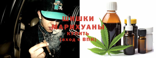 прущие крисы Гусев