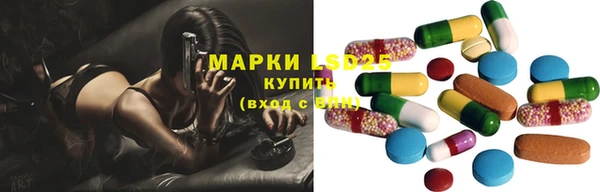 прущие крисы Гусев