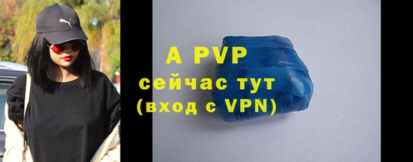 дурь Гусиноозёрск