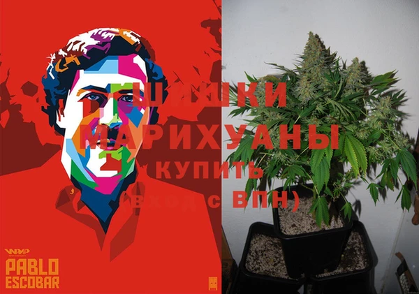 ECSTASY Гусь-Хрустальный
