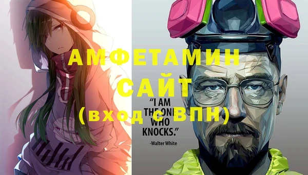 ECSTASY Гусь-Хрустальный