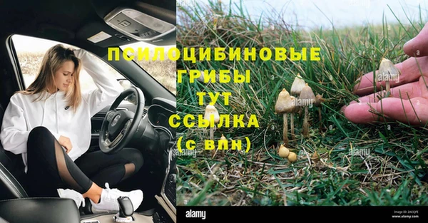 прущие крисы Гусев