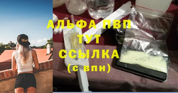ECSTASY Гусь-Хрустальный
