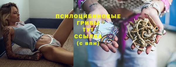 дурь Гусиноозёрск