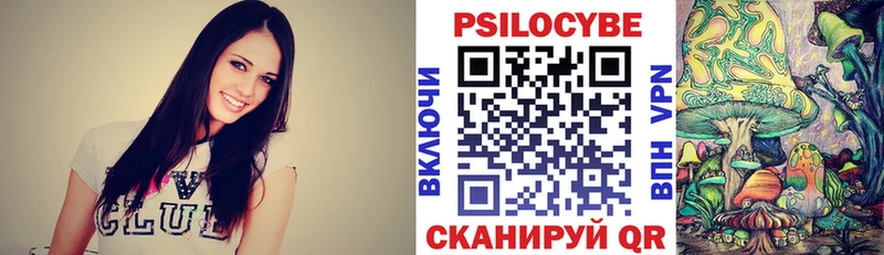 Псилоцибиновые грибы Psilocybe  Купить закладки  Киреевск 
